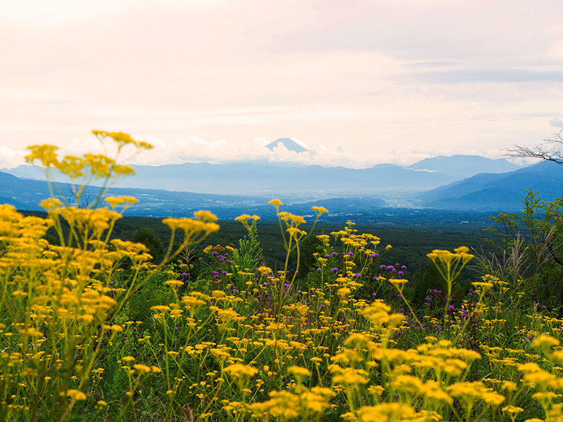 天空リゾート・富士見高原 滞在の旅