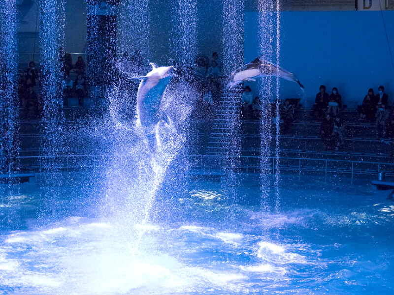 アクアパーク品川