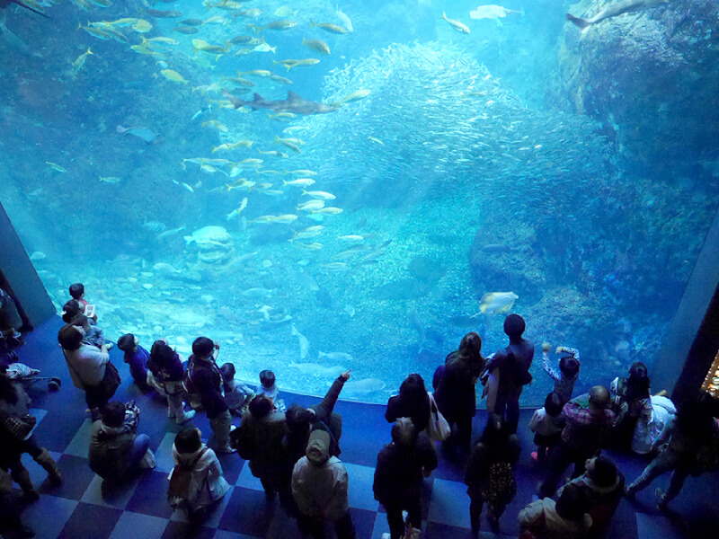 江の島水族館